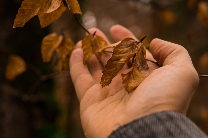 고독사, 단절되지 않을 권리